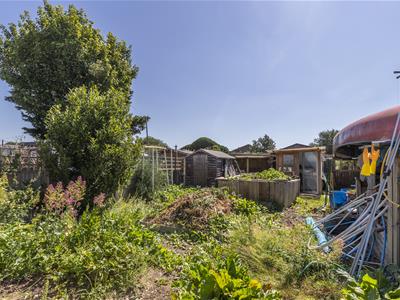 Picture 25